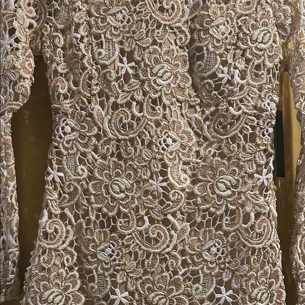 VENUS Lace Long Sleeve Dress in Cream and Gold with Expose back. Nude liner - Picture 11 of 11